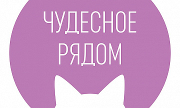 Автоматизация сети розничных магазинов «Чудесное рядом» 