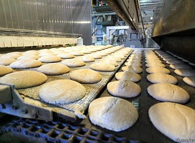 Доработка обмена между ДАЛИОН: УМ и 1C:Бухгалтерия для АО «Петрохлеб». Фото 3