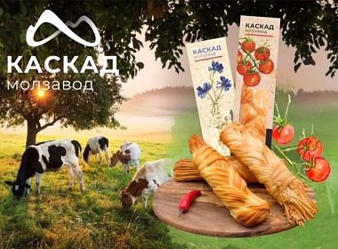 Автоматизация молзавода «Каскад»: внедрение ТСД на базе Склад 15. Фото 1