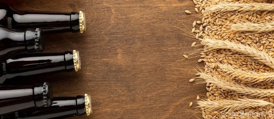 Декларирование пива и других напитков: последние изменения в законодательстве